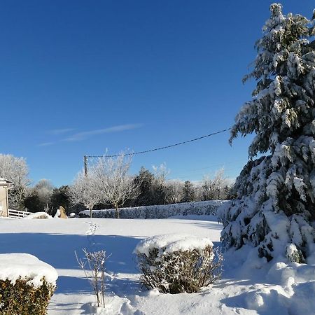 Le Gite De L'Adrech Lacaune Bagian luar foto